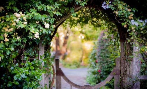 Bear Valley Cottage Olema