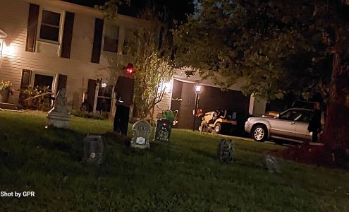 LadyJ Pet Services, LLC