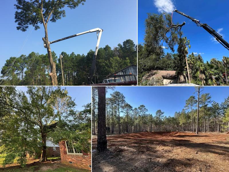 Green Acres Tree Service