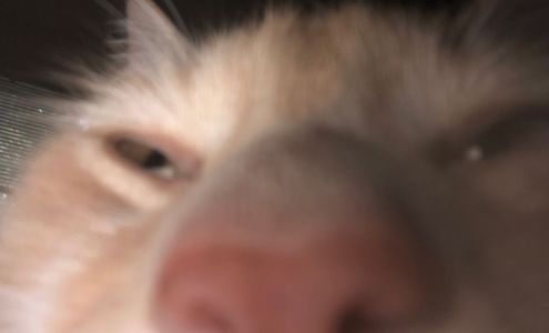 Ramona Lutheran Church & School