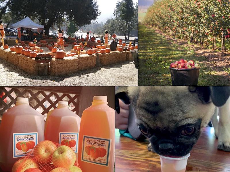 Law's Cider Mill 38392 Oak Glen Rd, Yucaipa