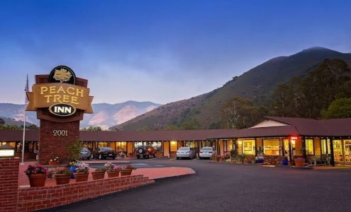 Peach Tree Inn