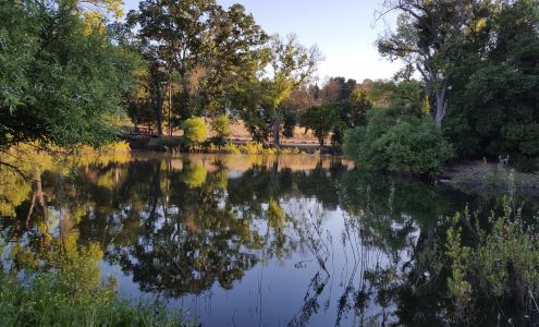 Bruce Stamp Wood Sculpture
