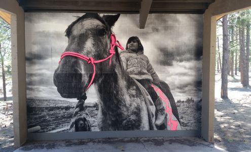 Coconino Center For the Arts