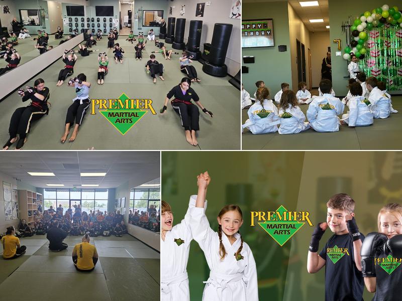 Premier Martial Arts Fox Valley