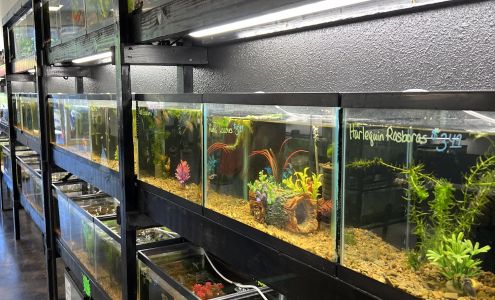Shadetree Aquatics Barling