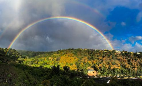 The Children's House
