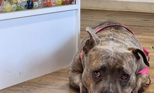 Da Smoke Shop Maui Kahului And Haiku