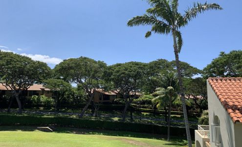 Palms at Wailea 1802 Wailea