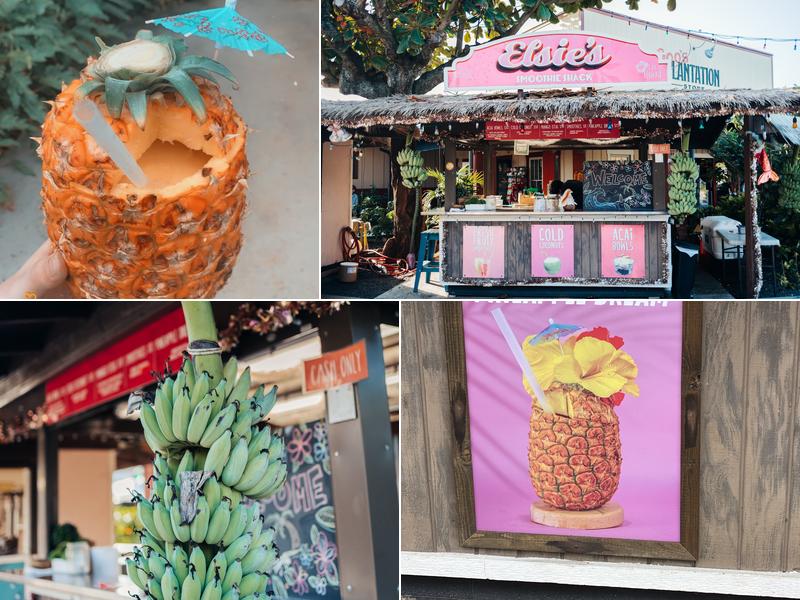 Elsie's Smoothie Shack