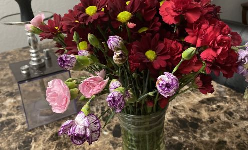 Exotic Florist of Plantation