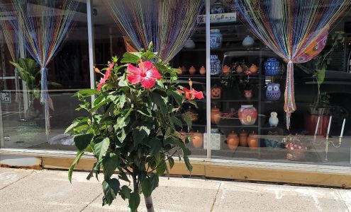 The Black Cat Spiritual Store & Botanica LLC