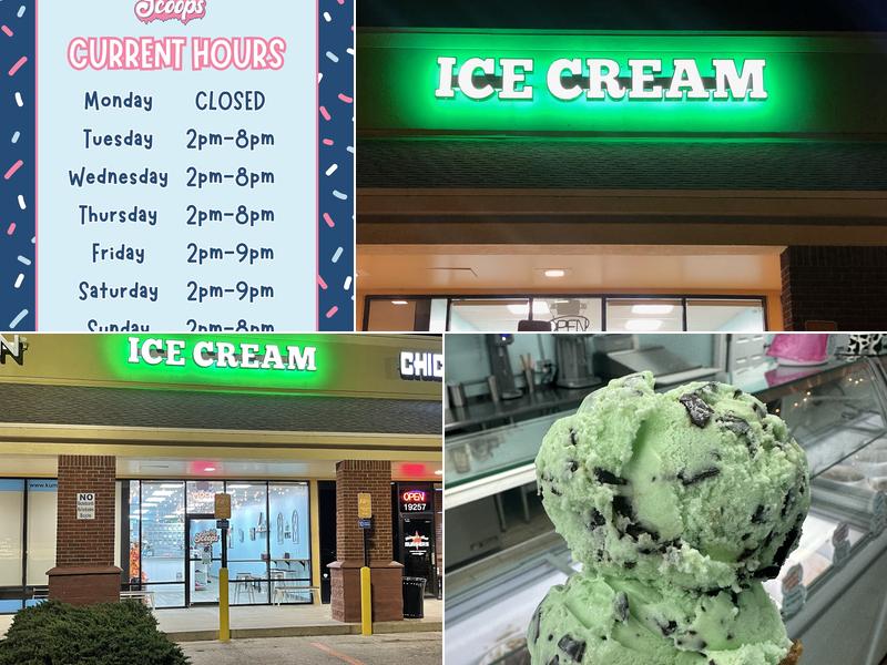 Lutz Scoops 19259 N Dale Mabry Hwy, Lutz