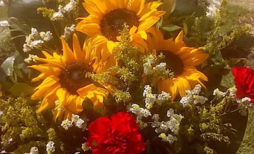 Vine Flower Floral Designs