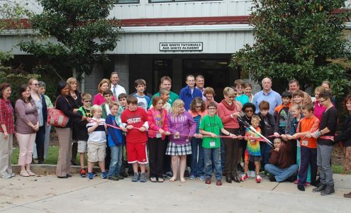 Academy of Innovation & Ava White Tutorials