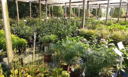 Gossett's Landscape Nursery