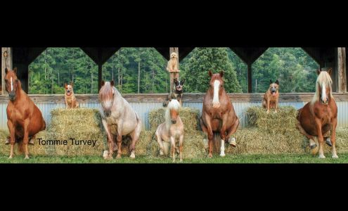 Tommie Turvey Williamson