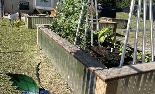 Thrive Early Learning