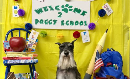 Jenny?s Grooming and Boarding Spa Leslie