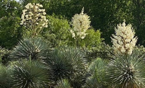 Far South Wholesale Nursery