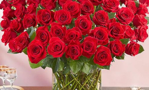 North Plainfield Florist & Gifts North Plainfield