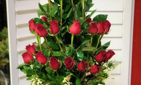 House of Flowers and MORE