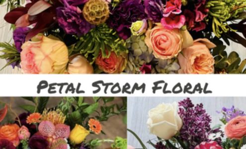 Petal Storm Floral