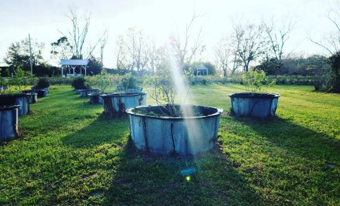 Weeks Bay Plantation, Inc.