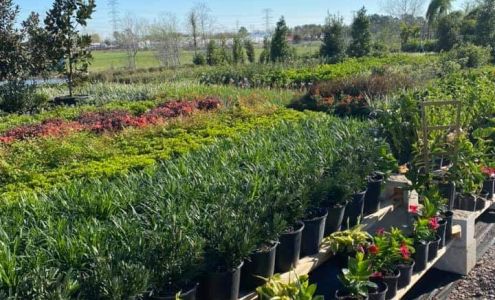 The Nursery - The Hidden Gem