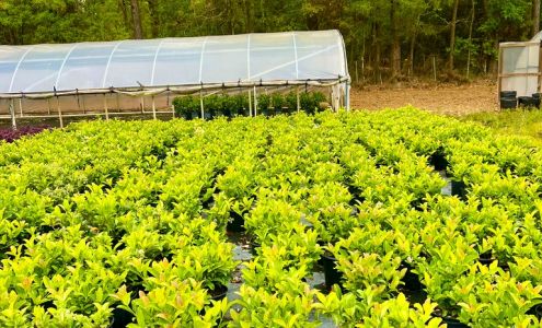 Container Grown Nursery