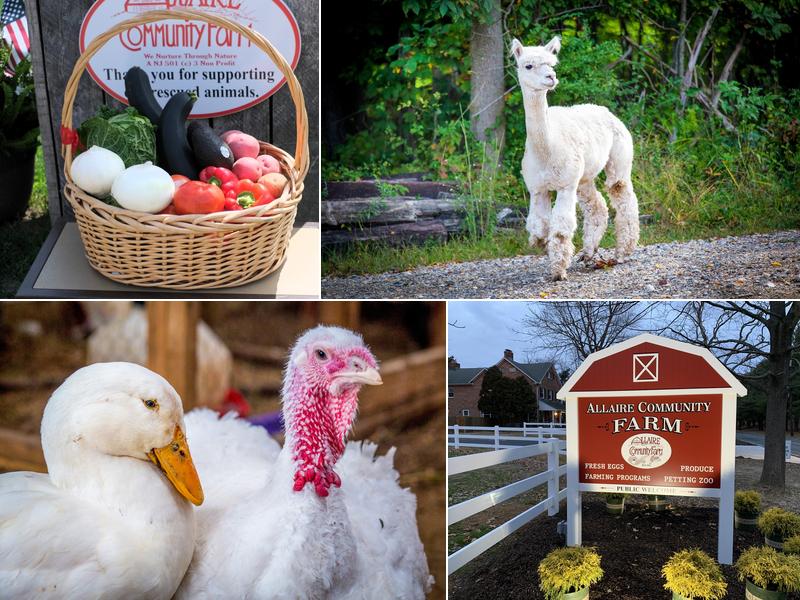 Allaire Community Farm