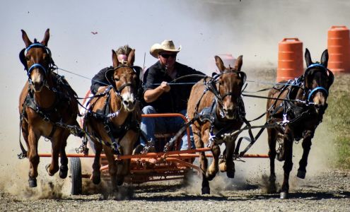 Whiskey Ridge Ranch