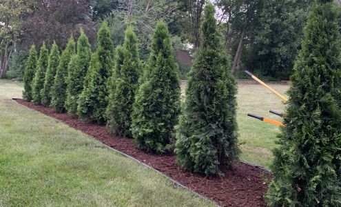 Rausch Tree and Outdoor Services