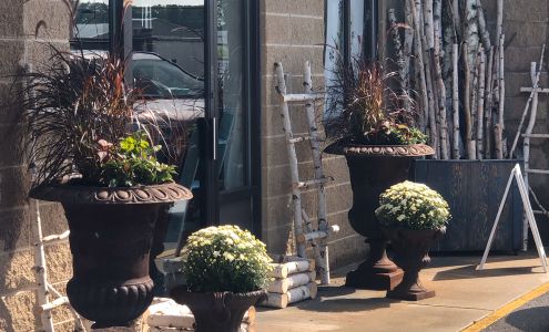 Branching Out & Company