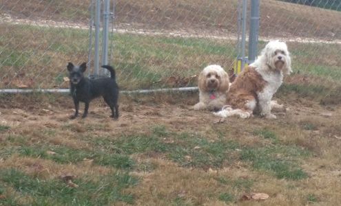 Waggin' Tails Dog Boarding Western Grove