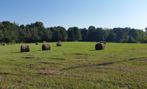 Tyler Farms and Ranch, LLC Camden