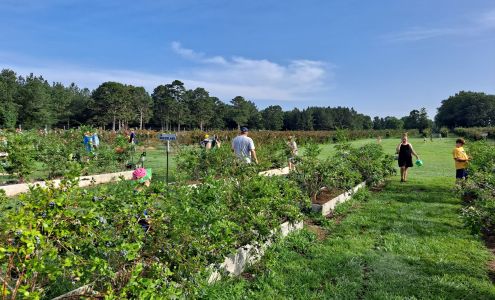 Ridge Runner Berry Farm & Chapel Floral