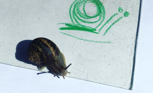 Bright Days Preschool