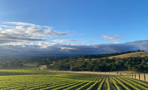 Defiance Vineyard Creston