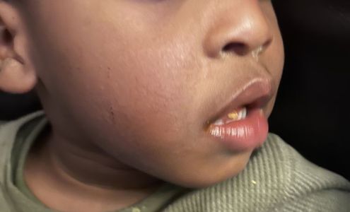 Academy For Early Learning Inc