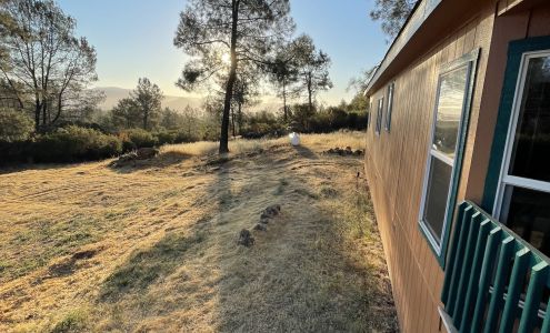 Pawsitive Dog Training Lower Lake