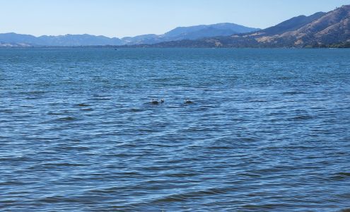 Davis Beach | Lake County Parks Lucerne