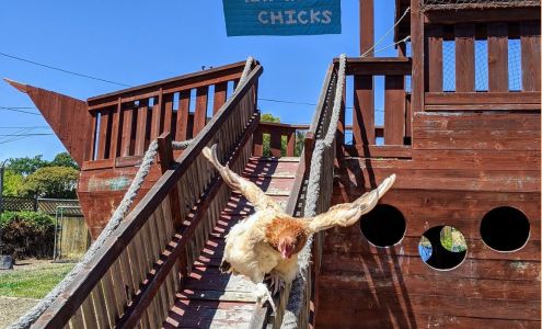 Mill Valley Nursery School