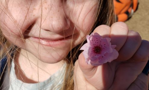 Lacey's Lil' Learners