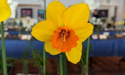 River Lodge Conference Center Fortuna