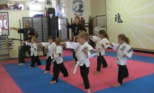 Cobra & Butterfly Karate School Fortuna