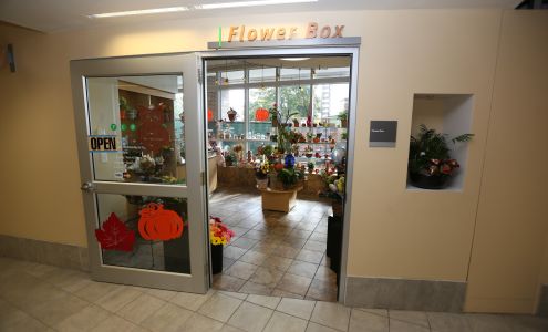 The Flower Box at MaineHealth Maine Medical Center