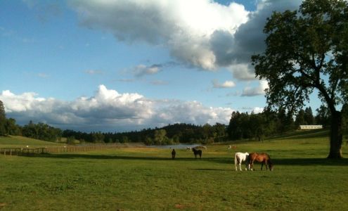 Lacey's Arabian Ranch Garden Valley