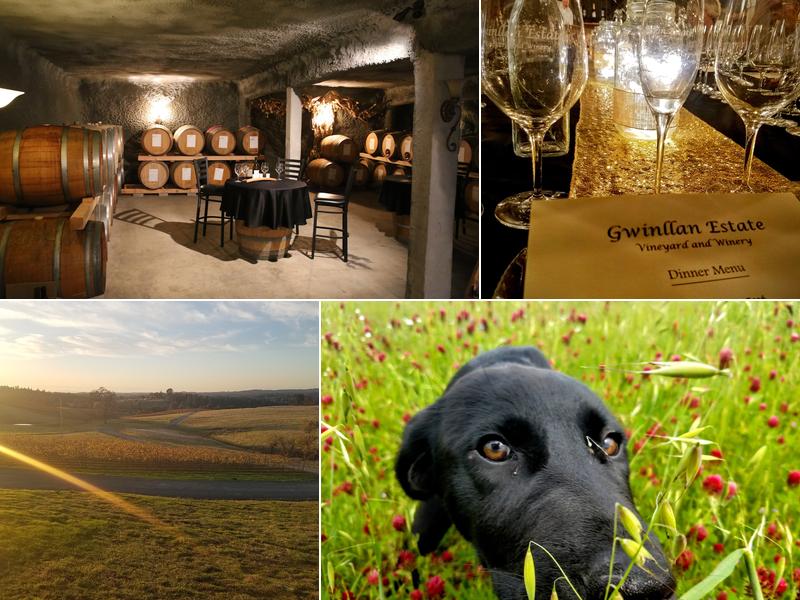 Gwinllan Estate Winery