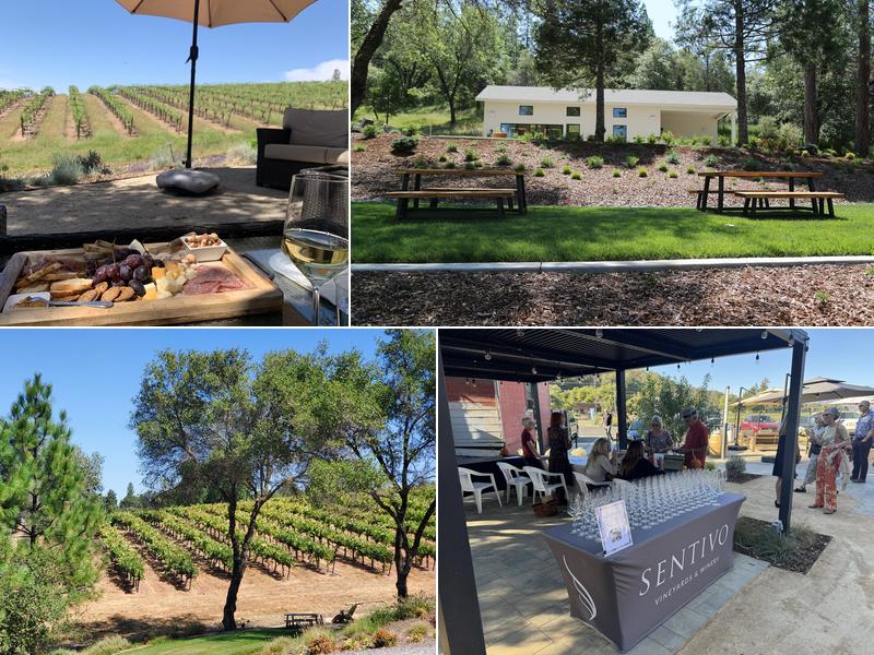 Sentivo Vineyards & Winery